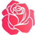 玫瑰直播免费版视频下载