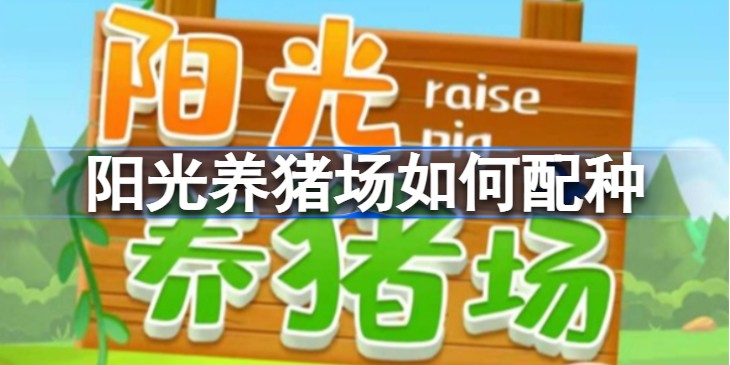 阳光养猪场怎么配种-小猪配种攻略
