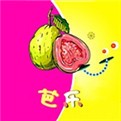 色虎播放器下载安装