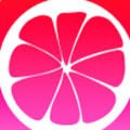 芭比直播2024年版