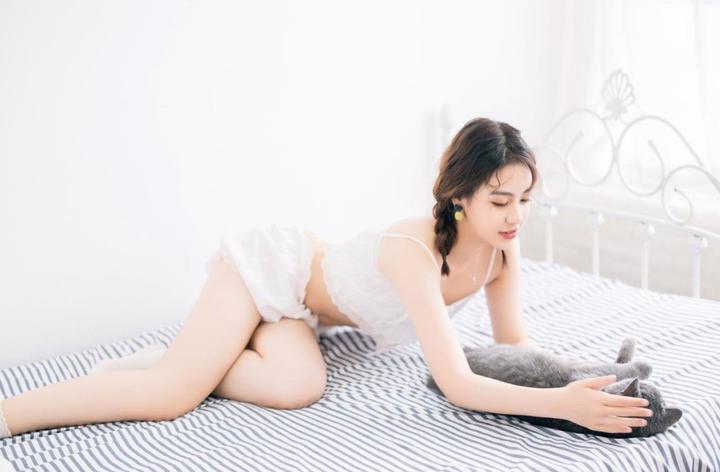 用户评价与口碑
