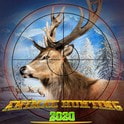 狂野狙击猎人Wild Animal Hunt安卓版下载游戏