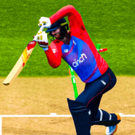 史诗板球比赛Epic Cricket Games安卓中文免费下载