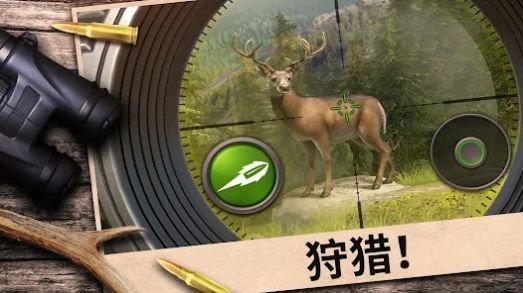 猎手冲突Hunting Clash2