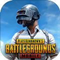 地铁逃生国际服免费PUBG